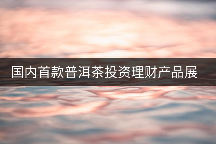 國內(nèi)首款普洱茶投資理財(cái)產(chǎn)品展開路演推介 國內(nèi)首款普洱茶投資理財(cái)產(chǎn)品展開路演推介