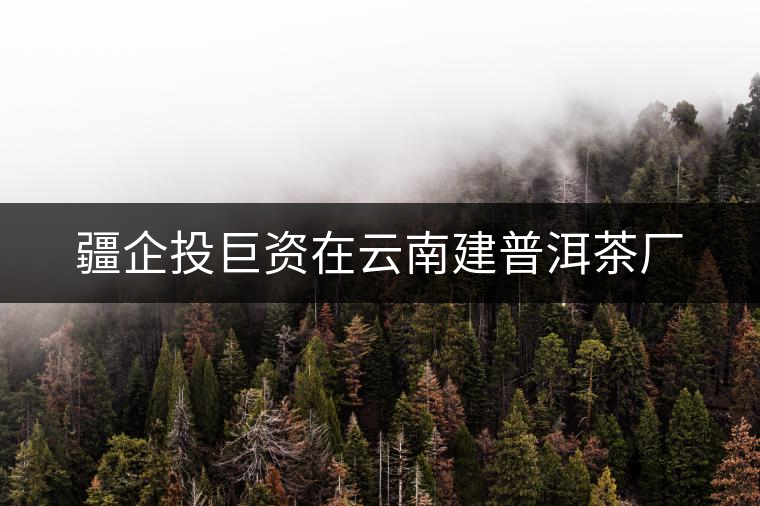 疆企投巨資在云南建普洱茶廠