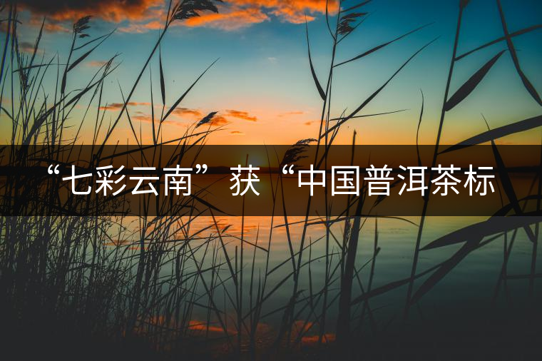 “七彩云南”獲“中國(guó)普洱茶標(biāo)志性品牌” “七彩云南”獲“中國(guó)普洱茶標(biāo)志性品牌”