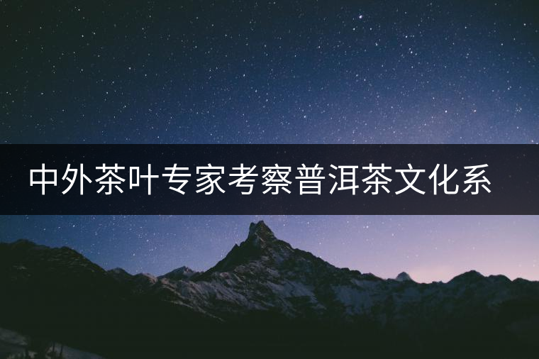 中外茶葉專(zhuān)家考察普洱茶文化系統(tǒng)