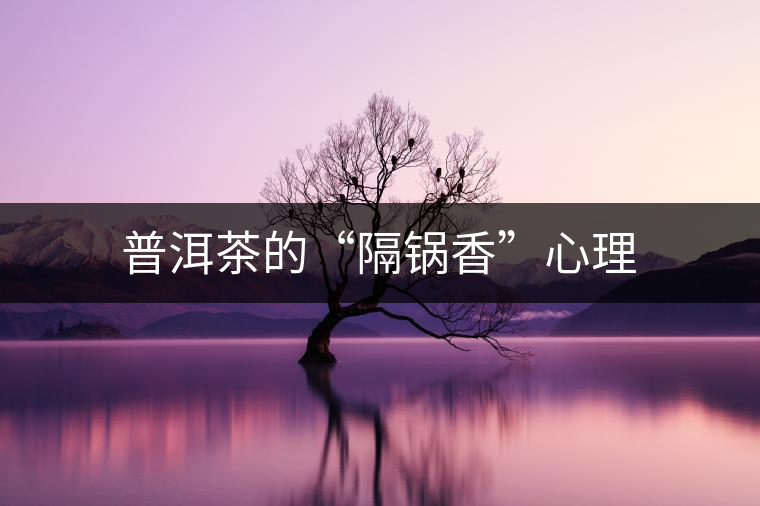 普洱茶的“隔鍋香”心理