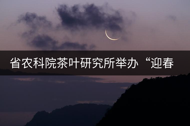 省農(nóng)科院茶葉研究所舉辦“迎春節(jié)、慶元旦”籃球聯(lián)誼賽