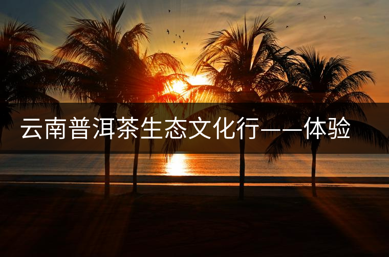 云南普洱茶生態(tài)文化行——體驗(yàn)別樣云茶名族文化 云南普洱茶生態(tài)文化行——體驗(yàn)別樣云茶名族文化