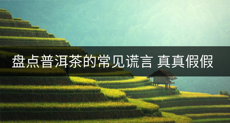 盤點普洱茶的常見謊言 真真假假 看看你認可幾條？