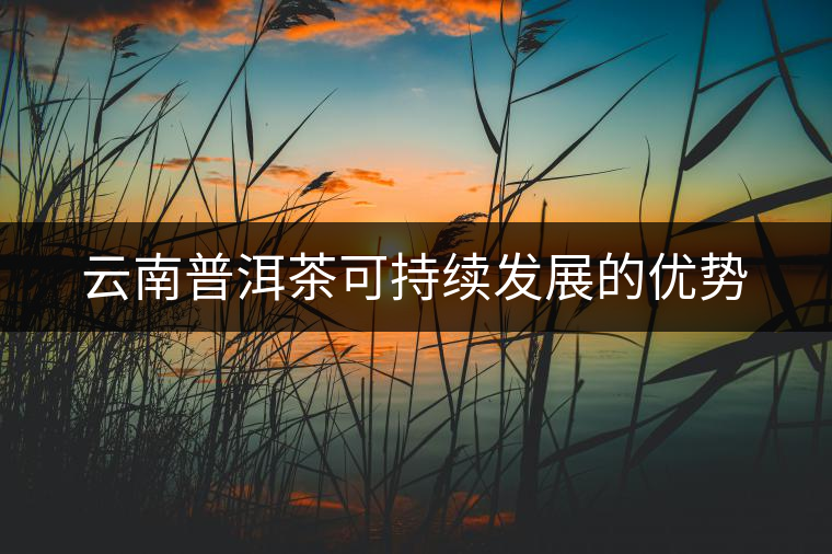 云南普洱茶可持續(xù)發(fā)展的優(yōu)勢 云南普洱茶可持續(xù)發(fā)展的優(yōu)勢