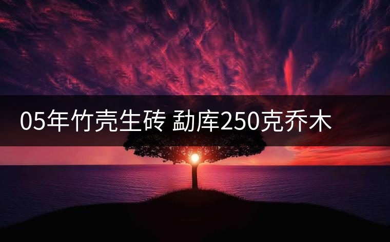 05年竹殼生磚 勐庫250克喬木生磚兩片裝 05年竹殼生磚 勐庫250克喬木生磚兩片裝