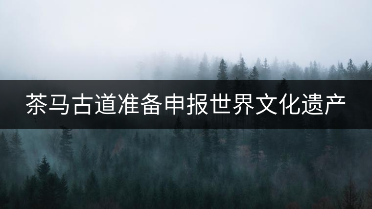 茶馬古道準(zhǔn)備申報(bào)世界文化遺產(chǎn)