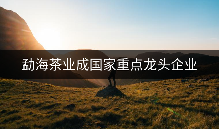 勐海茶業(yè)成國(guó)家重點(diǎn)龍頭企業(yè) 勐海茶業(yè)成國(guó)家重點(diǎn)龍頭企業(yè)