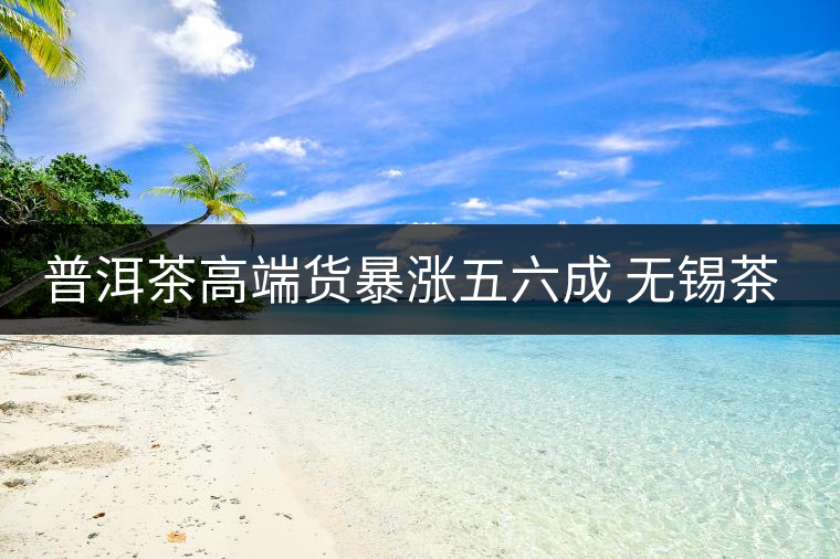 普洱茶高端貨暴漲五六成 無錫茶客提前囤貨 普洱茶高端貨暴漲五六成 無錫茶客提前囤貨