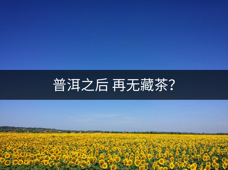 普洱之后 再無藏茶？