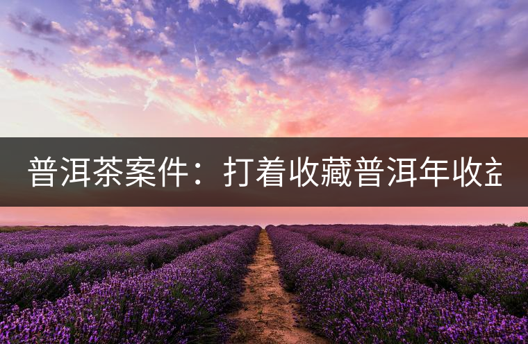 普洱茶案件：打著收藏普洱年收益不低于16%，非法吸收公眾存款