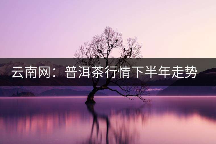 云南網(wǎng)：普洱茶行情下半年走勢看好