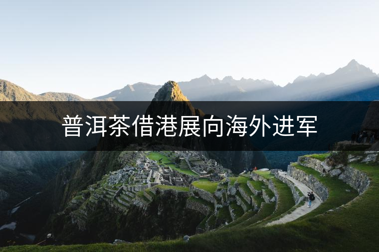 普洱茶借港展向海外進軍