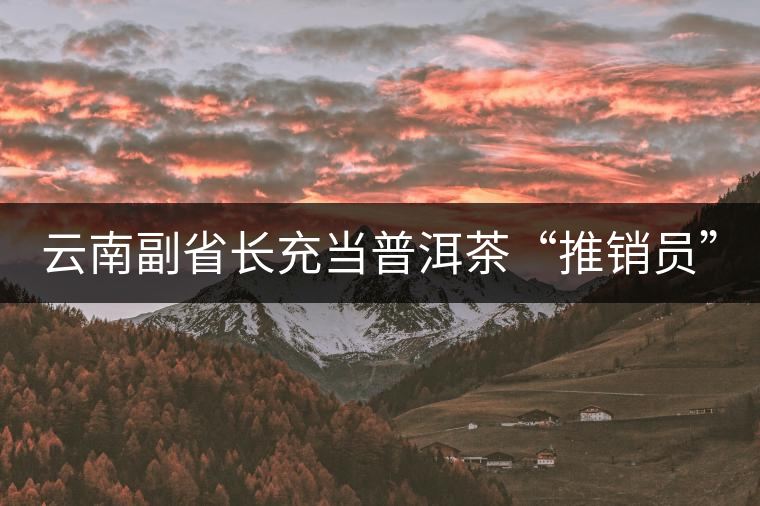 云南副省長(zhǎng)充當(dāng)普洱茶“推銷員” 云南副省長(zhǎng)充當(dāng)普洱茶“推銷員”