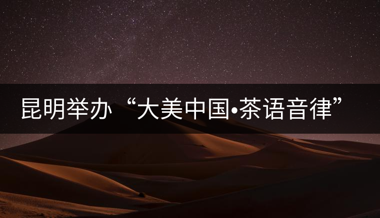 昆明舉辦“大美中國?茶語音律”主題茶會