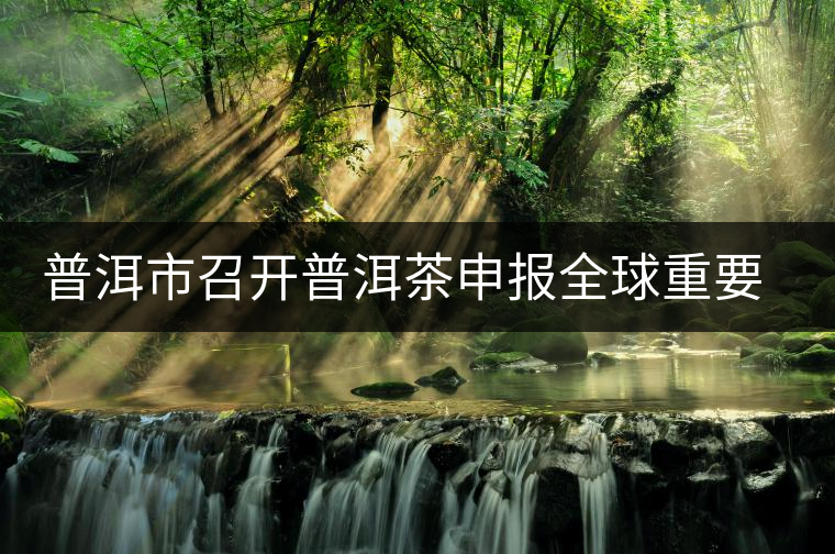 普洱市召開普洱茶申報全球重要農(nóng)業(yè)文化遺產(chǎn)工作領導小組會議