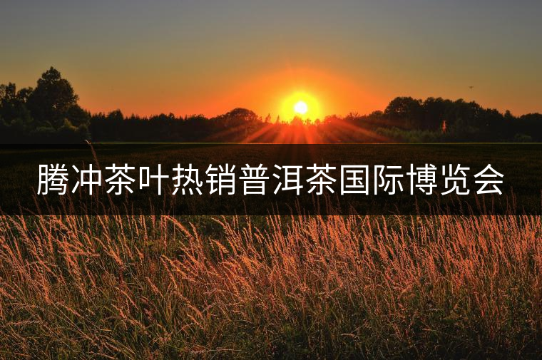 騰沖茶葉熱銷普洱茶國際博覽會 騰沖茶葉熱銷普洱茶國際博覽會