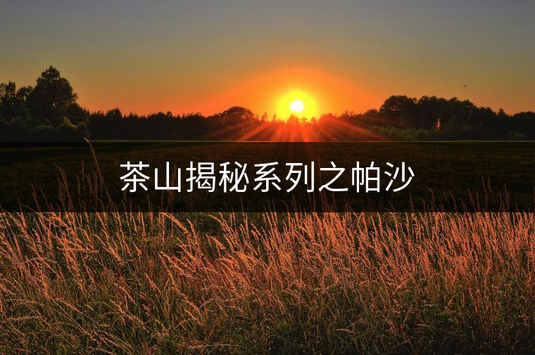 茶山揭秘系列之帕沙 茶山揭秘系列之帕沙