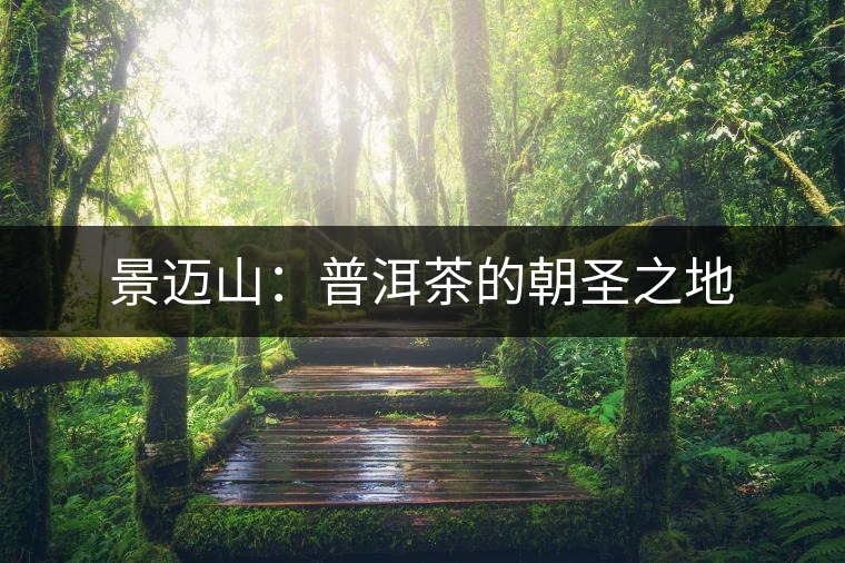 景邁山：普洱茶的朝圣之地
