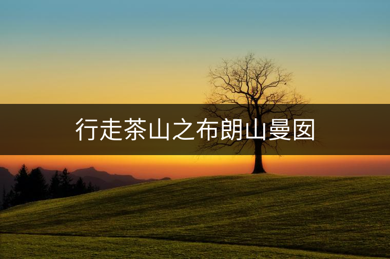 行走茶山之布朗山曼囡