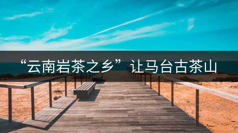 “云南巖茶之鄉(xiāng)”讓馬臺(tái)古茶山春暖花開