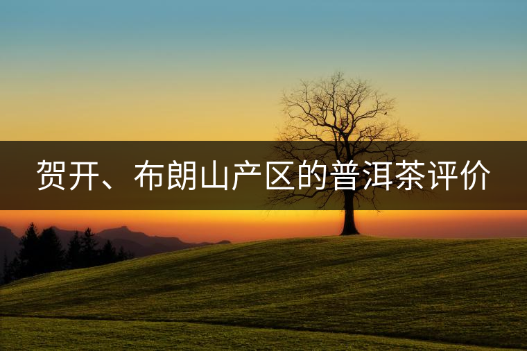 賀開、布朗山產(chǎn)區(qū)的普洱茶評價