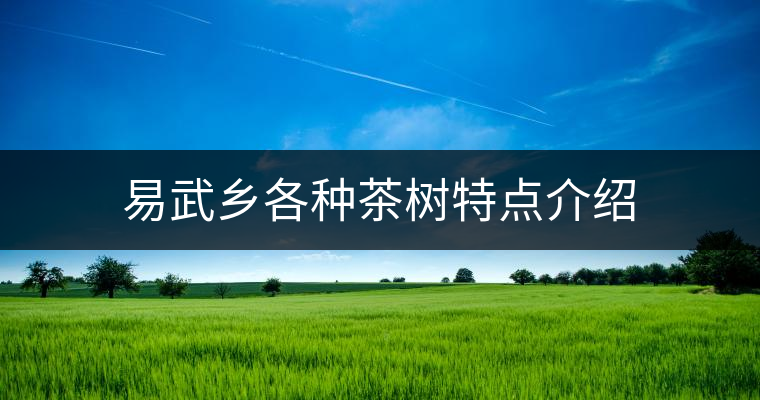 易武鄉(xiāng)各種茶樹特點介紹 易武鄉(xiāng)各種茶樹特點介紹