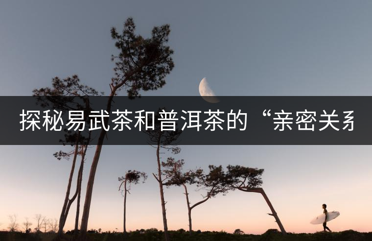 探秘易武茶和普洱茶的“親密關(guān)系” 探秘易武茶和普洱茶的“親密關(guān)系”