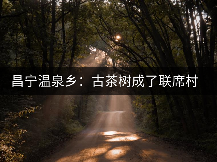 昌寧溫泉鄉(xiāng):古茶樹成了聯(lián)席村民的“搖錢樹” 昌寧溫泉鄉(xiāng):古茶樹成了聯(lián)席村民的“搖錢樹”