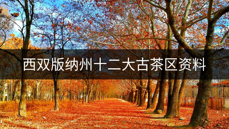 西雙版納州十二大古茶區(qū)資料 西雙版納州十二大古茶區(qū)資料