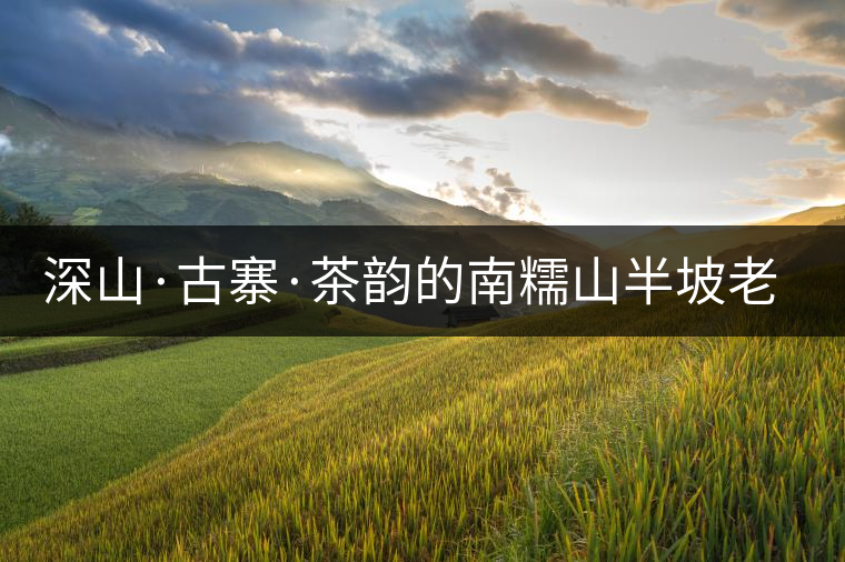 深山·古寨·茶韻的南糯山半坡老寨