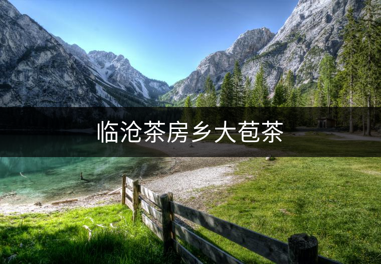 臨滄茶房鄉(xiāng)大苞茶