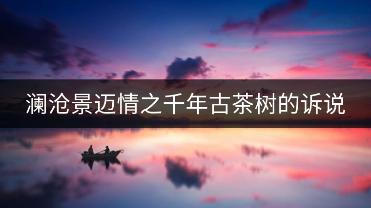 瀾滄景邁情之千年古茶樹的訴說 瀾滄景邁情之千年古茶樹的訴說