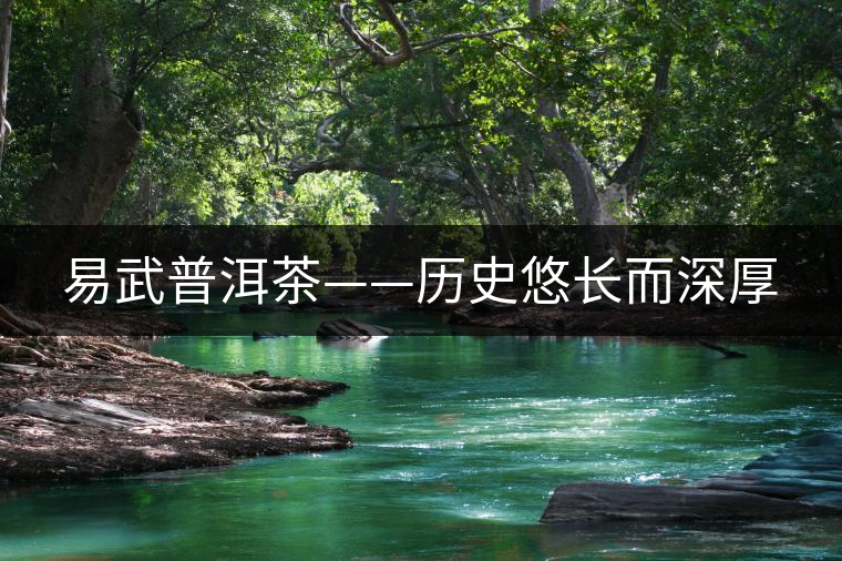 易武普洱茶——?dú)v史悠長而深厚