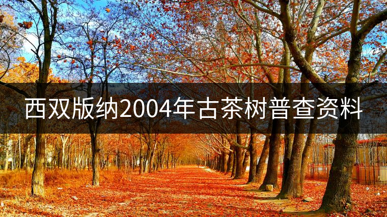 西雙版納2004年古茶樹普查資料 西雙版納2004年古茶樹普查資料