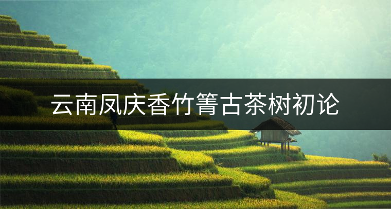 云南鳳慶香竹箐古茶樹初論 云南鳳慶香竹箐古茶樹初論