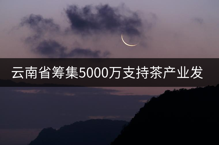 云南省籌集5000萬支持茶產(chǎn)業(yè)發(fā)展