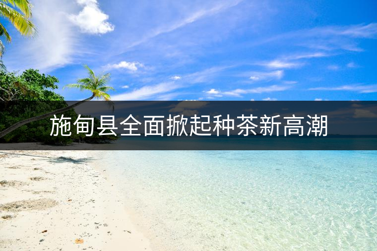 施甸縣全面掀起種茶新高潮 施甸縣全面掀起種茶新高潮