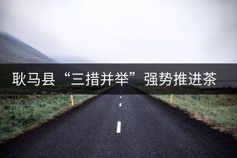 耿馬縣“三措并舉”強勢推進茶葉產(chǎn)業(yè)的發(fā)展 耿馬縣“三措并舉”強勢推進茶葉產(chǎn)業(yè)的發(fā)展