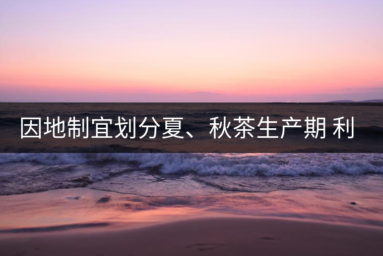 因地制宜劃分夏、秋茶生產期 利于采摘品質