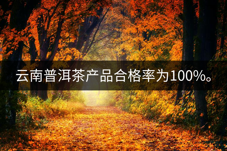 云南普洱茶產(chǎn)品合格率為100%。