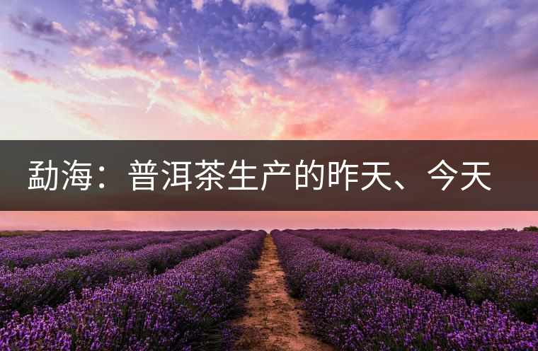 勐海：普洱茶生產(chǎn)的昨天、今天、明天