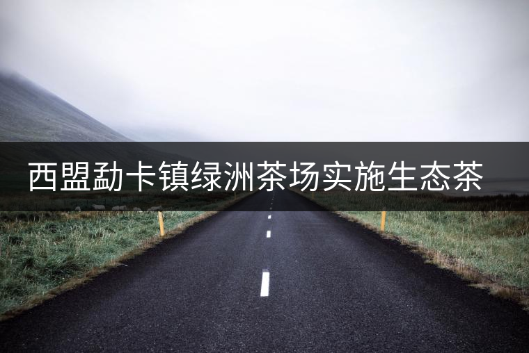 西盟勐卡鎮(zhèn)綠洲茶場實施生態(tài)茶園改造見效益 西盟勐卡鎮(zhèn)綠洲茶場實施生態(tài)茶園改造見效益