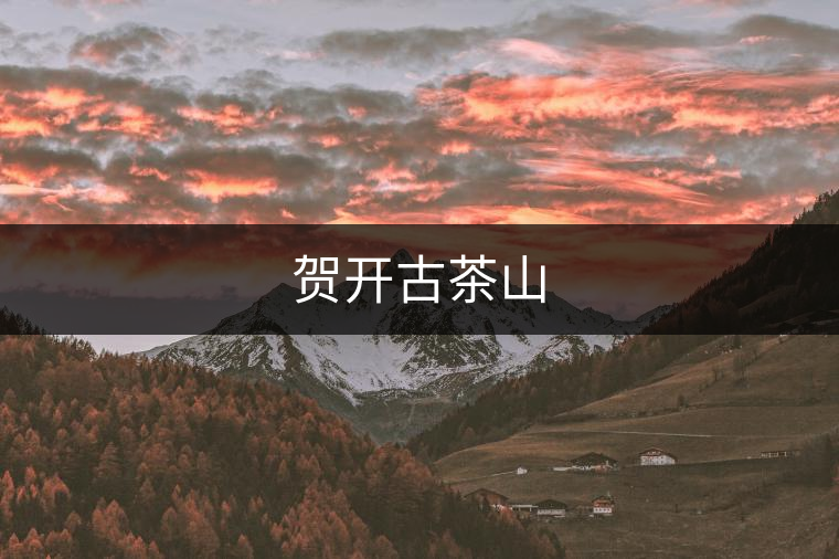 賀開古茶山 賀開古茶山