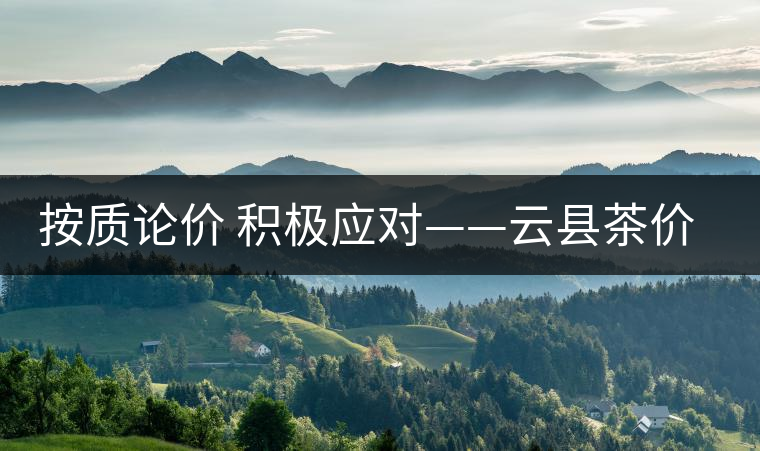 按質(zhì)論價 積極應(yīng)對——云縣茶價實現(xiàn)理性回歸 按質(zhì)論價 積極應(yīng)對——云縣茶價實現(xiàn)理性回歸