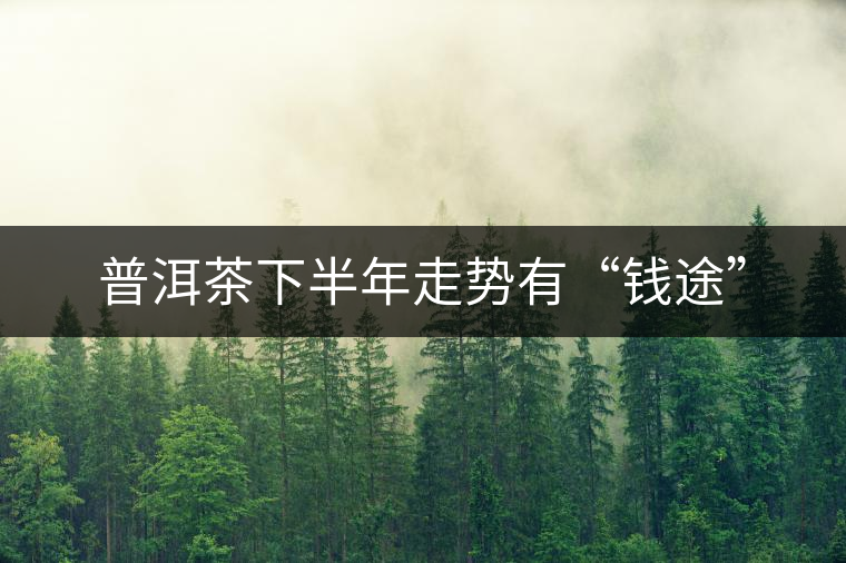 普洱茶下半年走勢(shì)有“錢(qián)途” 普洱茶下半年走勢(shì)有“錢(qián)途”