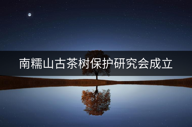 南糯山古茶樹保護研究會成立 南糯山古茶樹保護研究會成立
