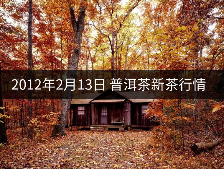 2012年2月13日 普洱茶新茶行情播報(bào)