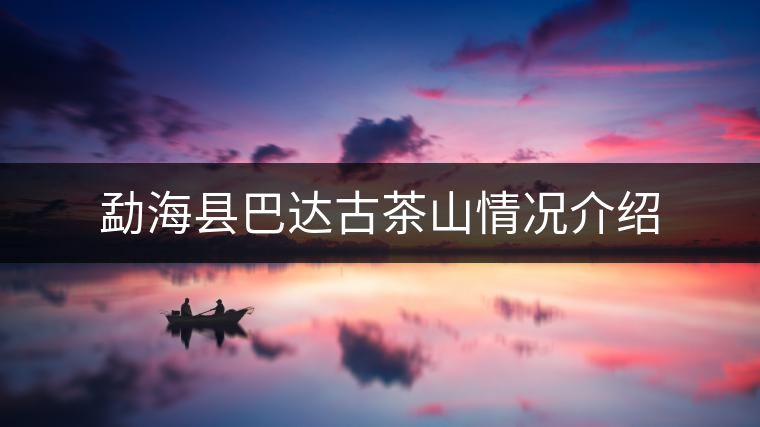 勐海縣巴達(dá)古茶山情況介紹