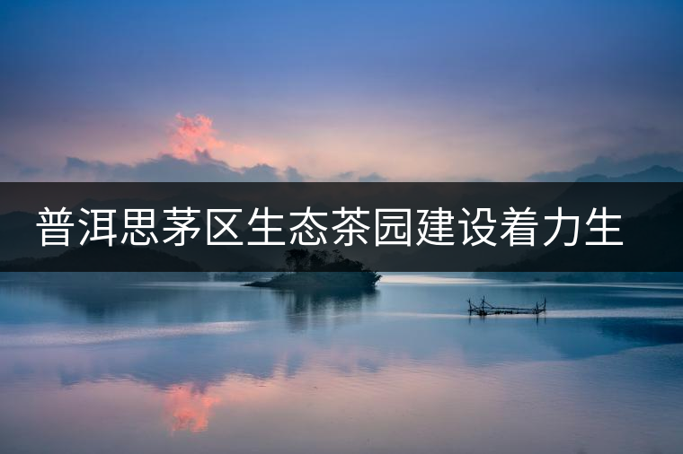 普洱思茅區(qū)生態(tài)茶園建設(shè)著力生物多樣性立體復(fù)合式 普洱思茅區(qū)生態(tài)茶園建設(shè)著力生物多樣性立體復(fù)合式